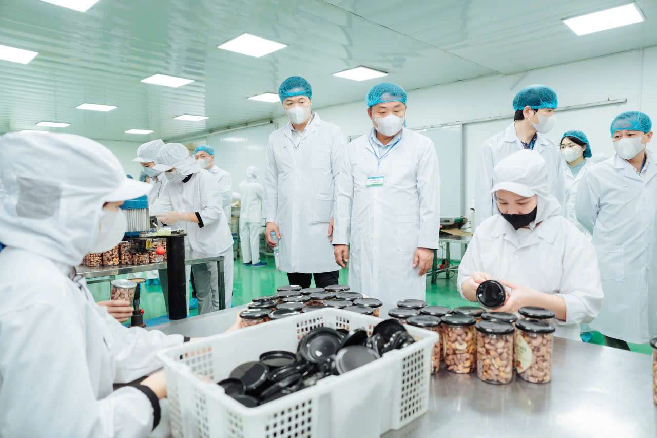 Vietnamese agricultural enterprises proactively "renovate themselves" to seize the opportunity to expand export markets. Photo: Thach Lam