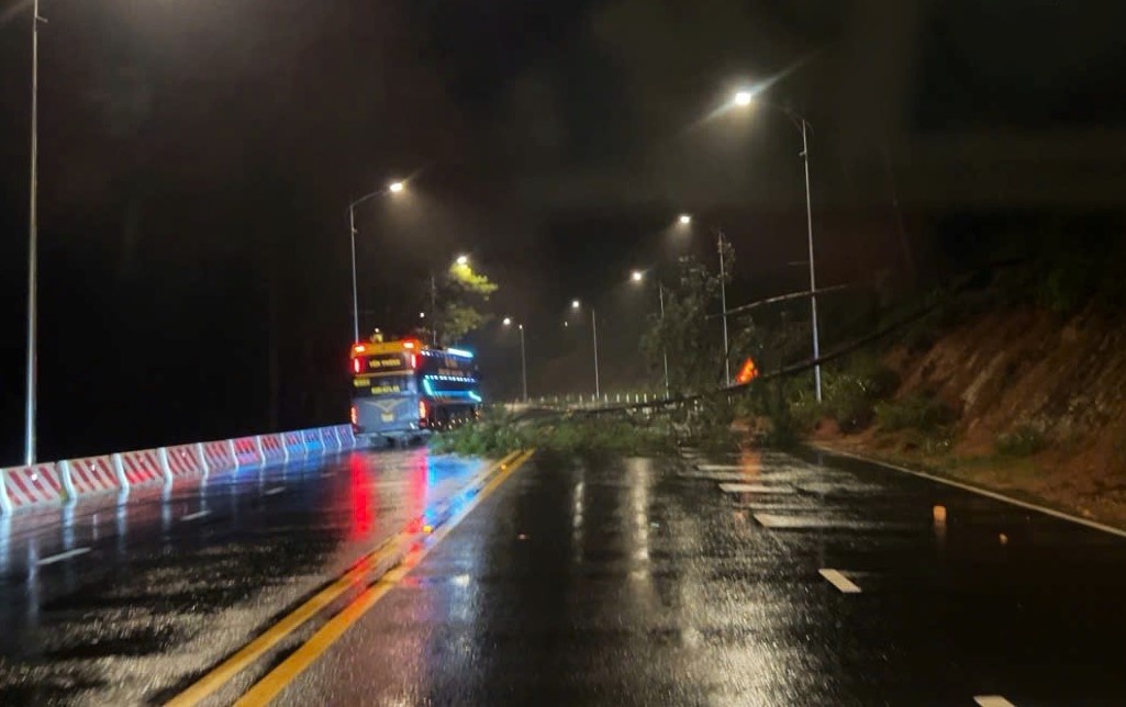 Cay xanh nga do tren deo Prenn, hien da duoc giai phong. Anh: Phuc Khanh
