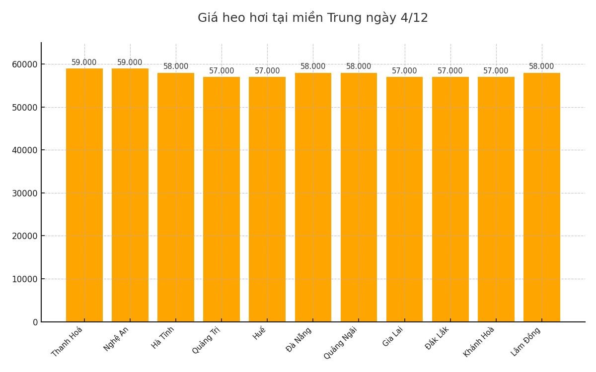 Gia heo hoi hom nay 4.12 tai khu vuc mien Trung. Do hoa: Thuy Linh