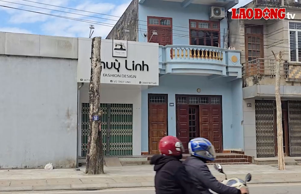 Nhieu cay xanh tai duong Yen Bai da bi cat tia tro trui, chi con lai phan than va goc cay. Anh: Long Nguyen