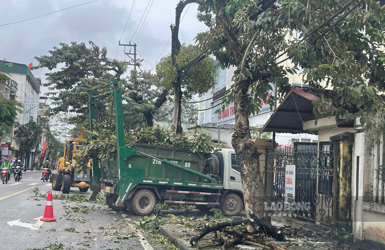 Don vi quan ly, cham soc cay xanh cho biet se rut kinh nghiem de viec cat tia dam bao my quan hon. Anh: Trong Loc