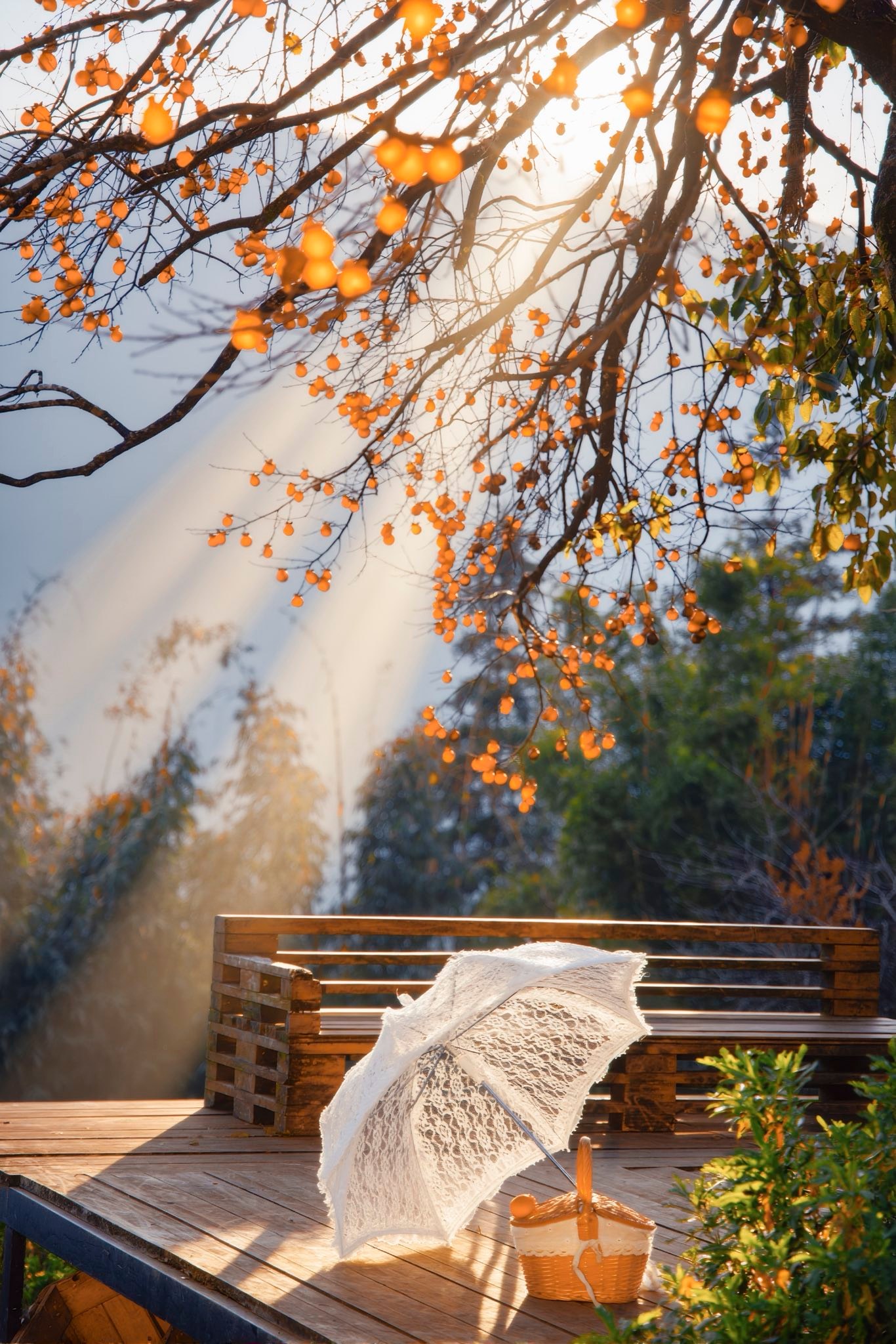 Foto: Nguyen Huu Thinh