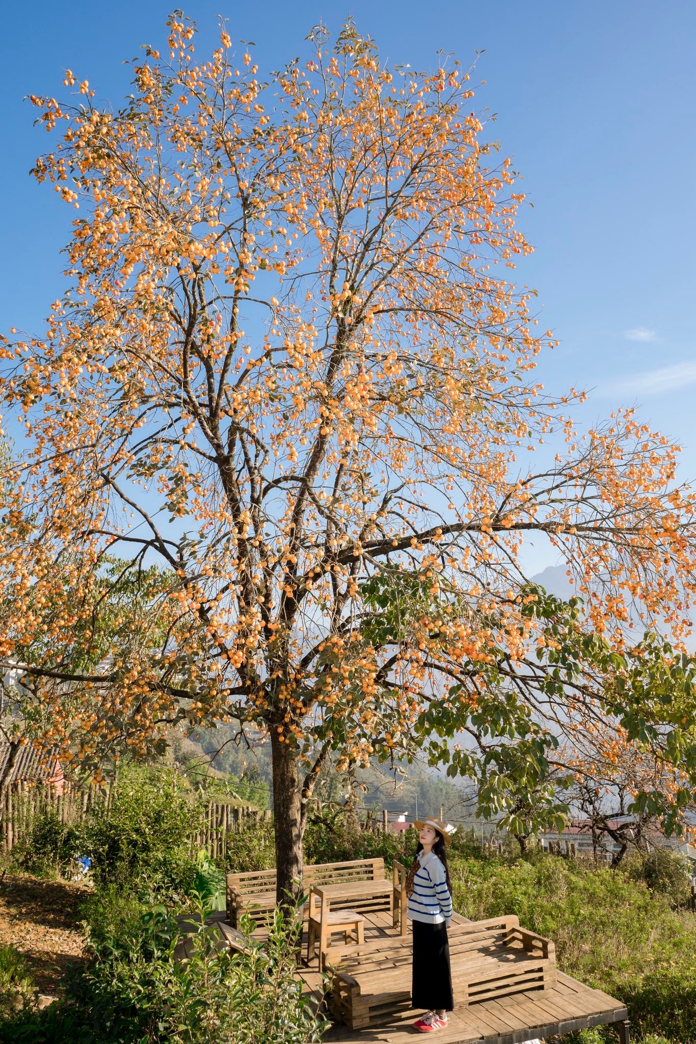 Foto: Nguyen Huu Thinh