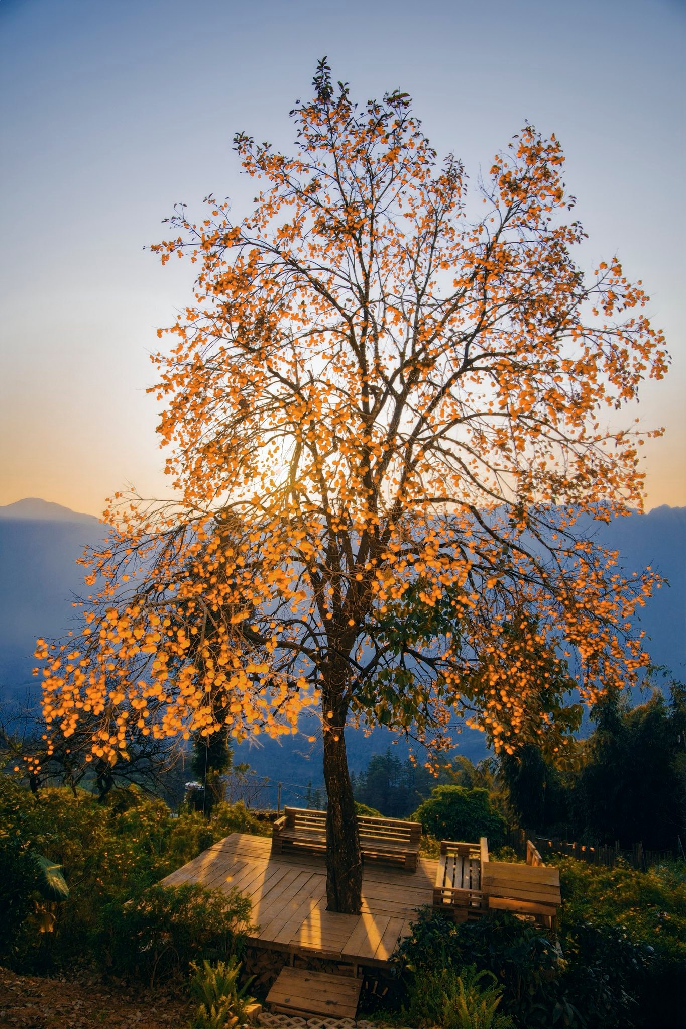 Foto: Nguyen Huu Thinh