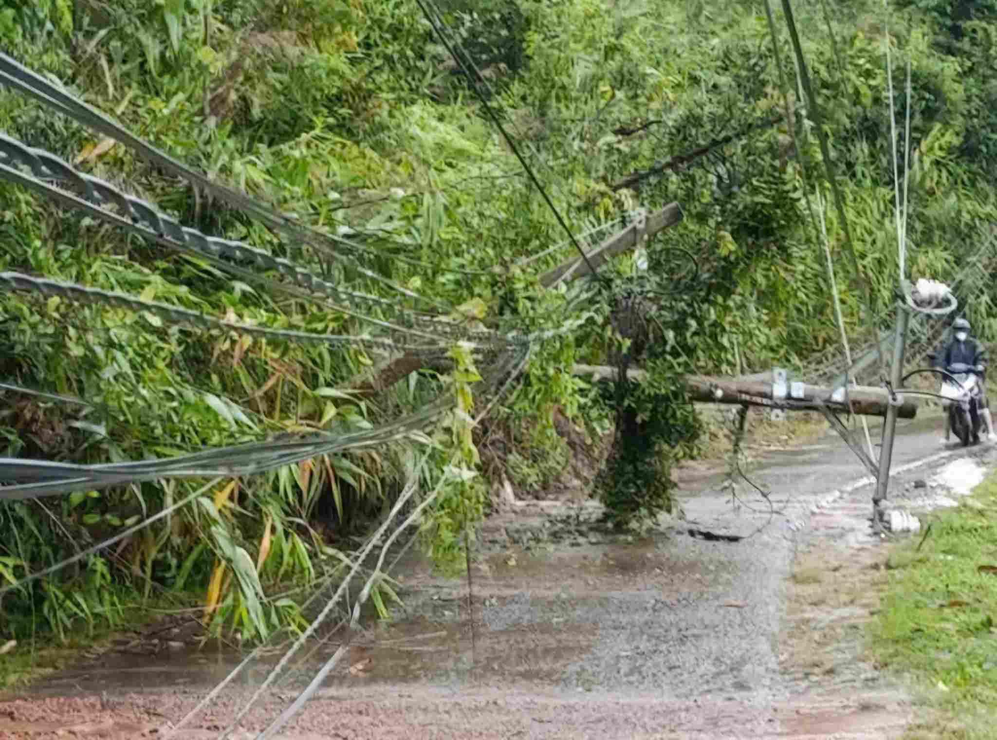 Cot dien nga do chan ngang duong deo Gia Bac. Anh: Phuc Khanh