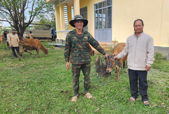 Chinh quyen xa trao bo giong cho nguoi dan. Anh: Tra Mi 