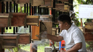 Nguyen Minh Tung's beekeeping model