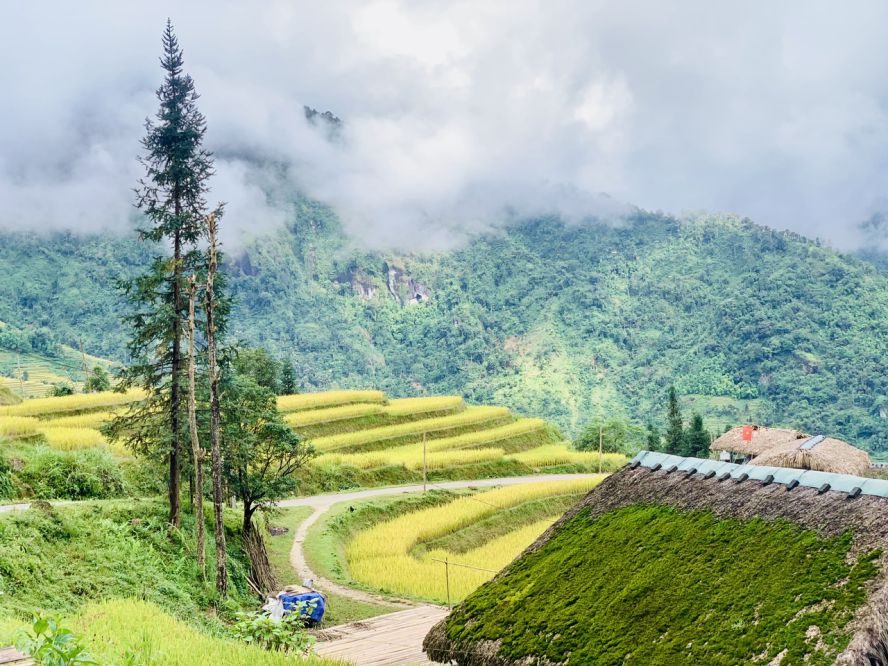 The roof is covered with moss in Xa Phin village and hidden in the clouds. Photo: Ky Lam