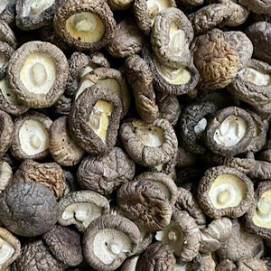 Chicken mushroom soup helps reduce visceral fat naturally. Photo: Kieu Vu.