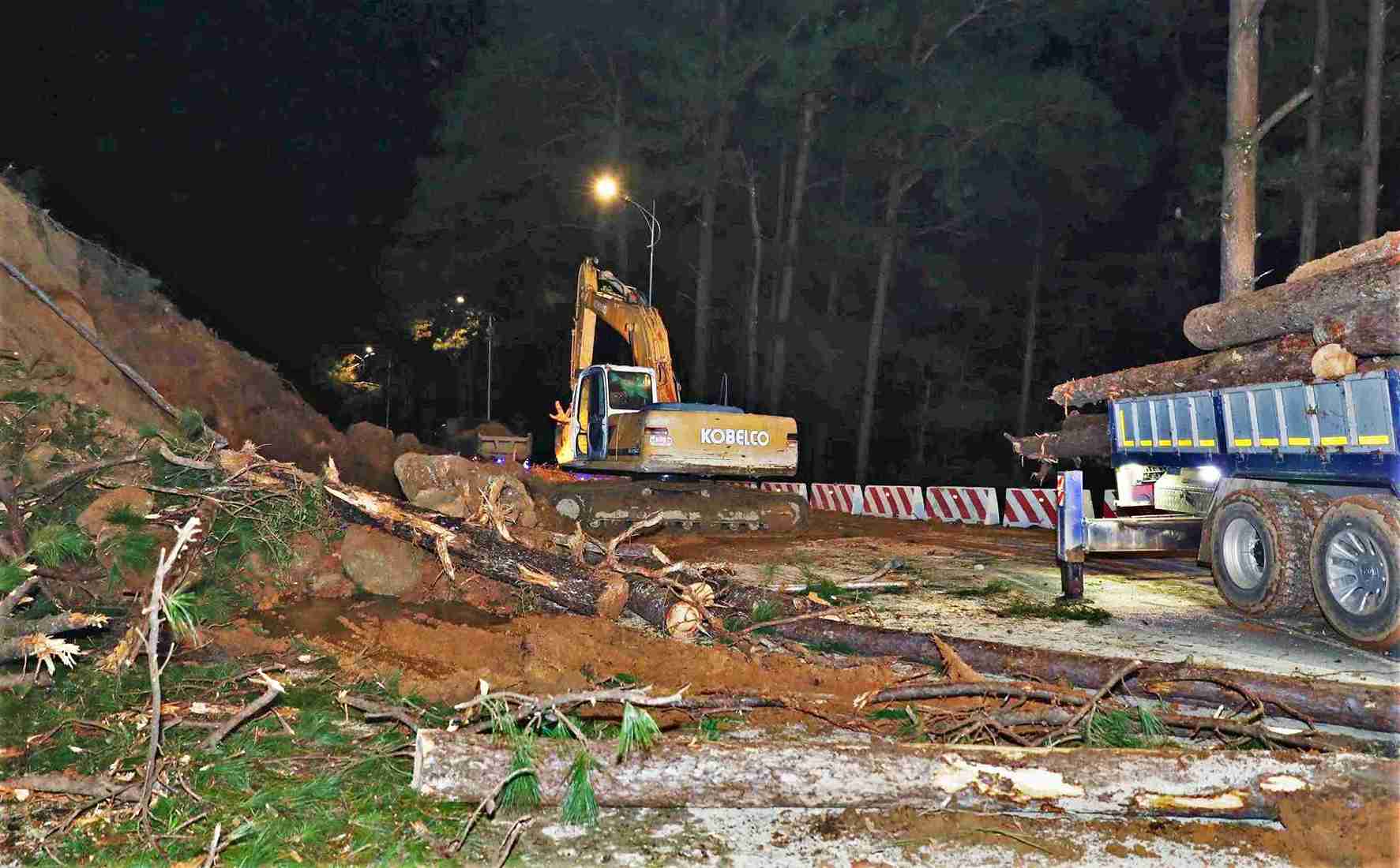 Cung voi viec don dep hang tram met khoi dat da, cac don vi con thu don luong lon cay thong nga do de bao dam an toan tai diem sat truot. Anh: Hoai Thanh