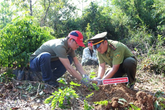 国全体では14億3,900万本以上の木を植樹し、10億本というプロジェクトの目標の44％近くを上回りました。写真: トラン・ティ