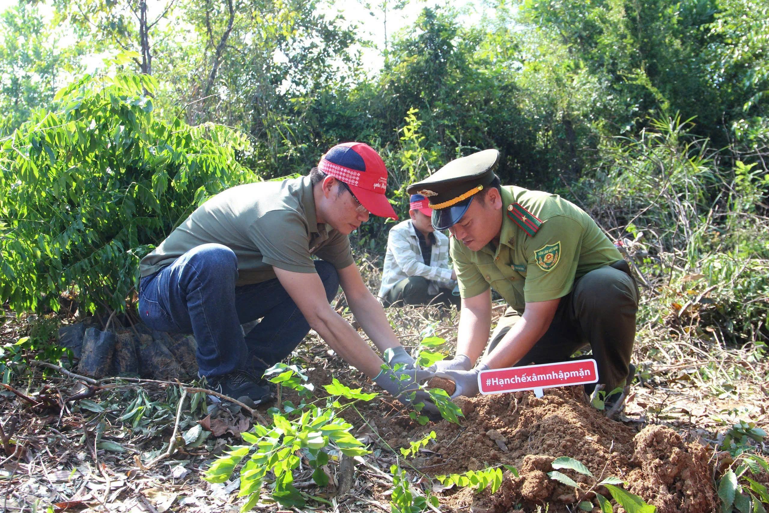 Ca nuoc trong hon 1,439 ti cay xanh, vuot gan 44% muc tieu De an 1 ti cay. Anh: Tran Thi