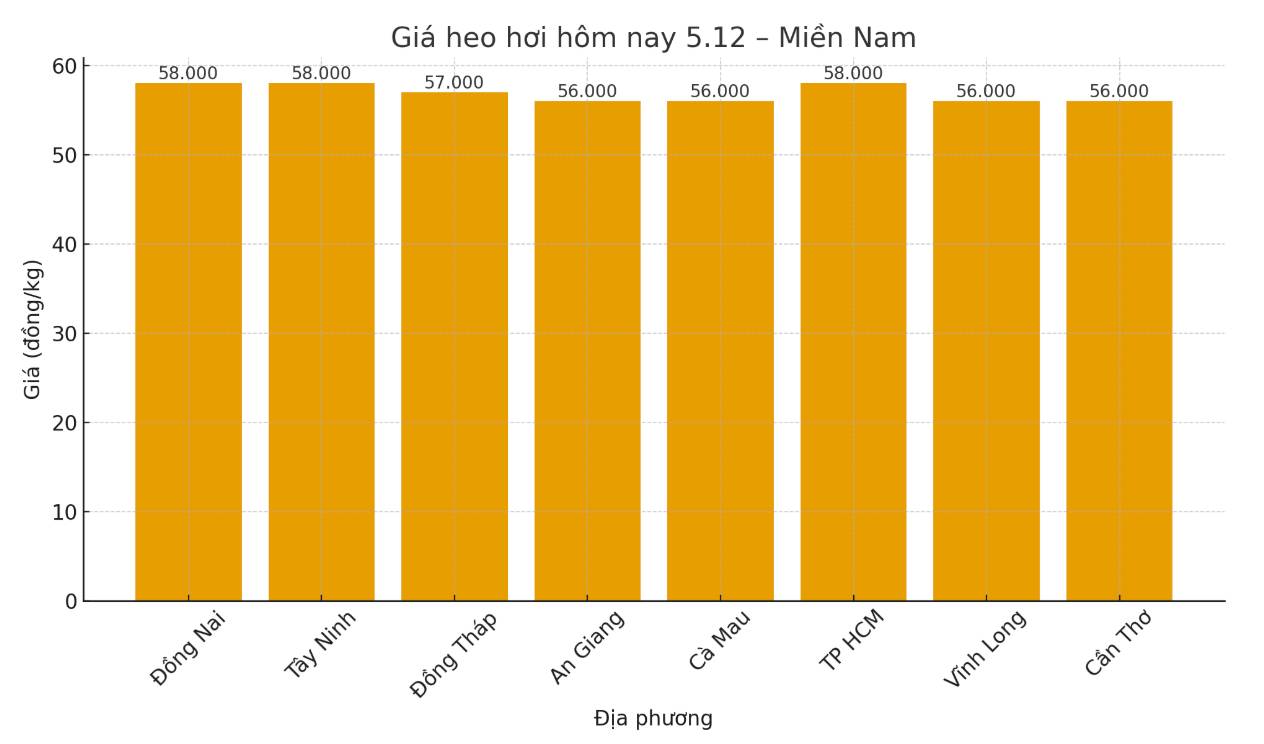 Gia heo hoi hom nay 5.12 tai khu vuc mien Nam. Do hoa: Thuy Linh 