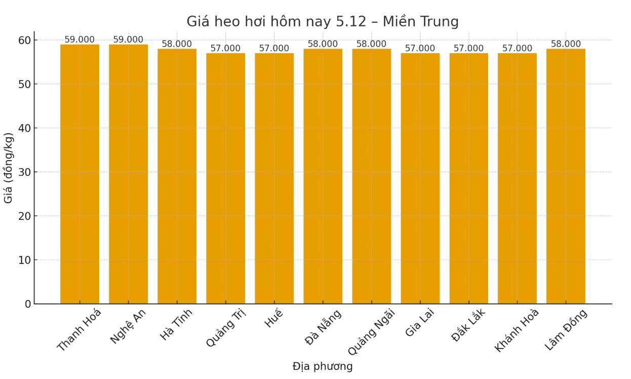 Gia heo hoi hom nay 5.12 tai khu vuc mien Bac. Do hoa: Thuy Linh