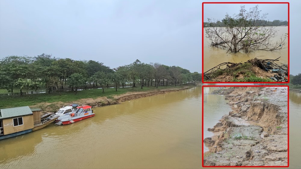 ダビエン島は長い間浸食され、フォン川沿いの緑の木々を脅かしています。写真: グエン・ルアン