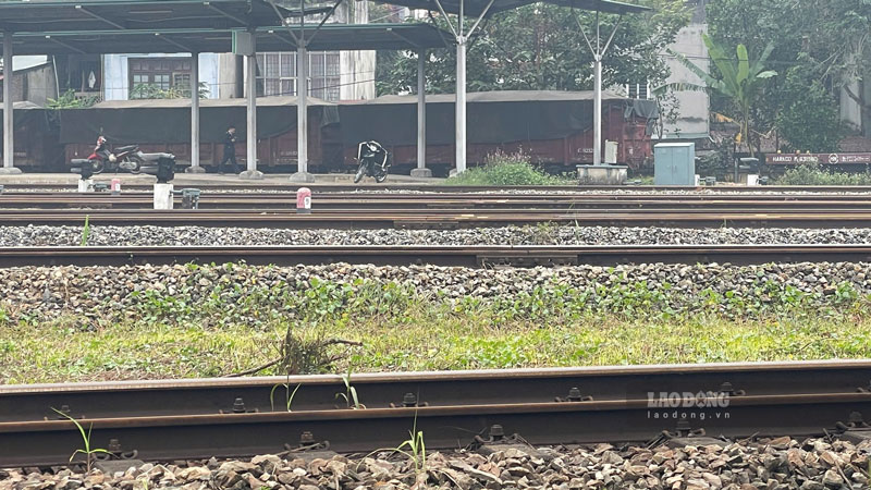 Tuyen duong sat se di qua 6 tinh thanh. Anh: Dinh Dai