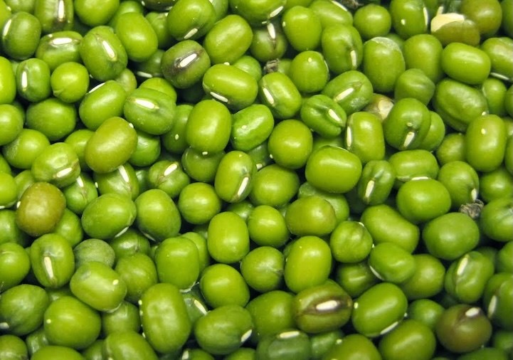 Green bean water is very good, but not everyone can use it. Photo: Kieu Vu.