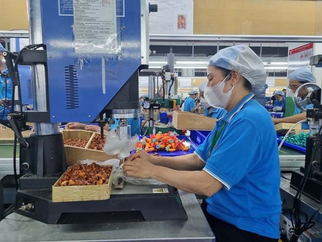 Cong nhan lam viec tai mot khu cong nghiep tren dia ban tinh Hung Yen. Anh: Luong Ha