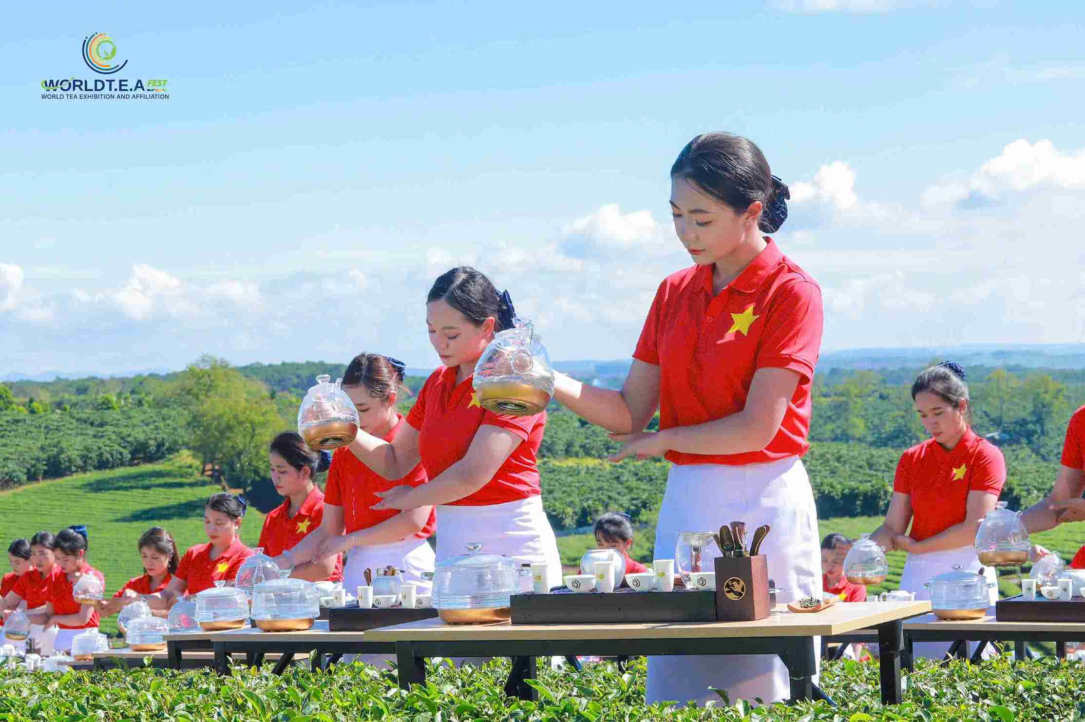 Màn biểu diễn pha trà, dâng trà của 1.111 cô gái tại đêm khai mạc làm mãn nhãn lòng người. Ảnh: Phúc Khánh