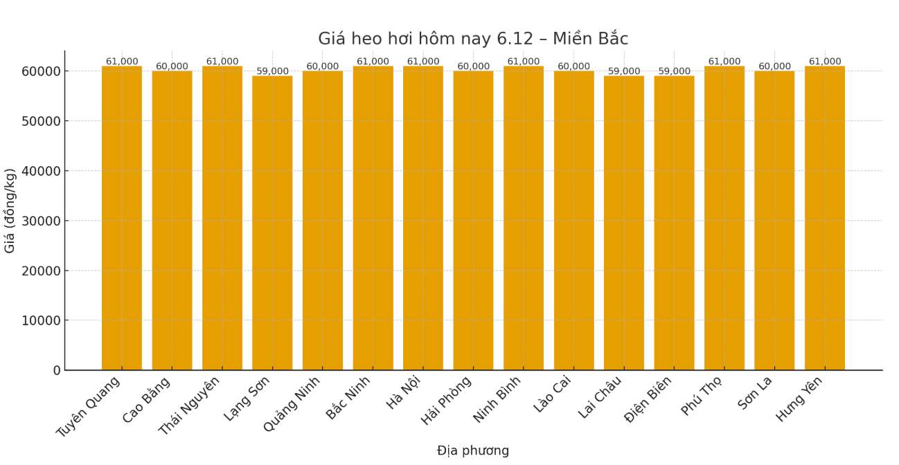 Giá heo hơi hôm nay 6.12 tại khu vực miền Bắc. Đồ hoạ: Thuỳ Linh