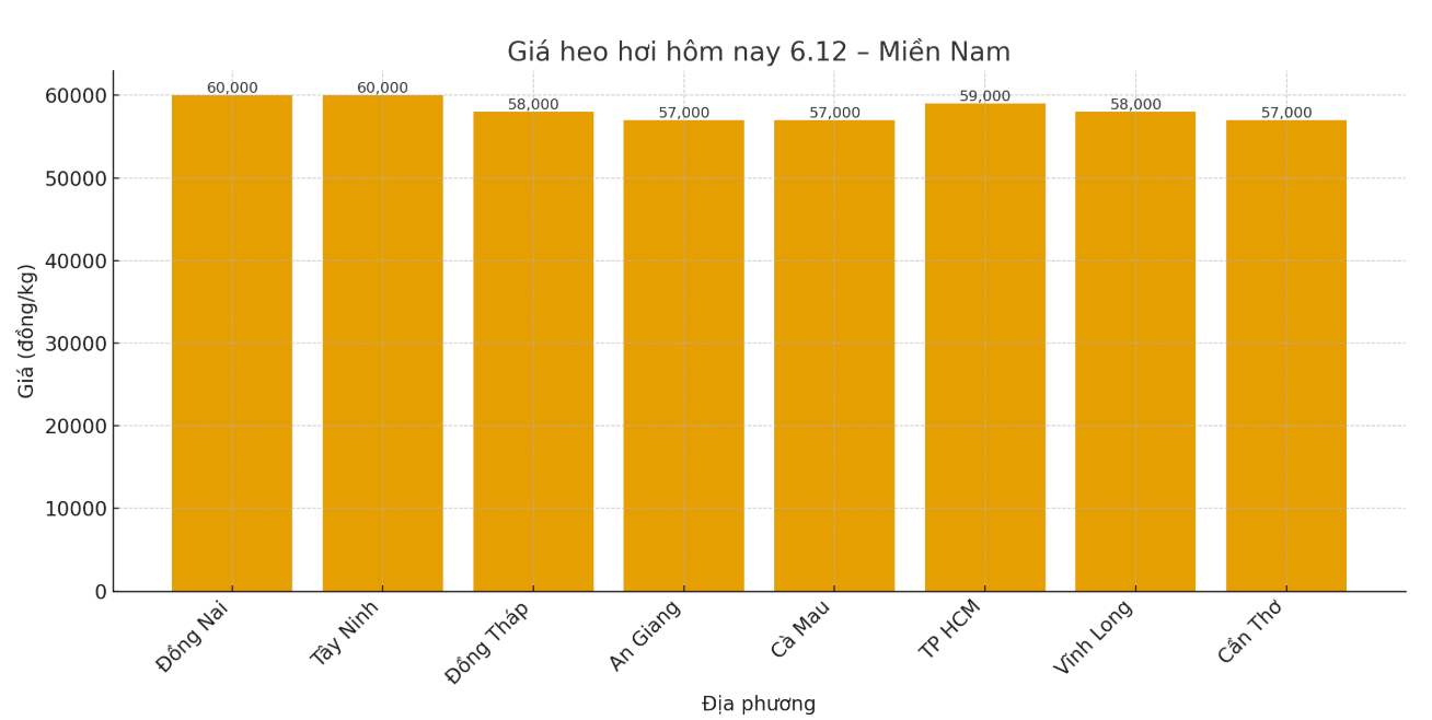 Giá heo hơi hôm nay 6.12 tại khu vực miền Nam. Đồ hoạ: Thuỳ Linh