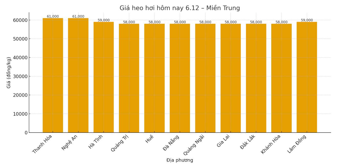 Giá heo hơi hôm nay 6.12 tại khu vực miền Trung. Đồ hoạ: Thuỳ Linh