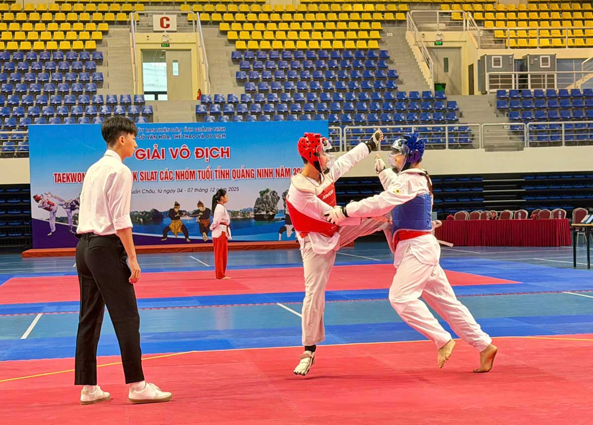 2025年クアンニン省のペンカク・シラット・テコンドー選手権は、2025年12月6日から7日まで開催されます。写真:Thanh Tung