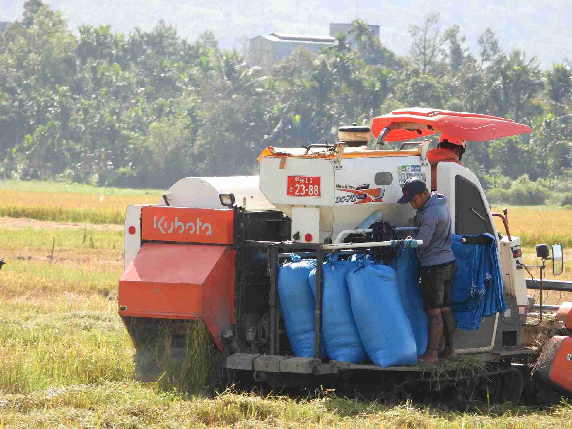 Co nuoc sach su dung, nguoi dan tan dung quy thoi gian tap trung lao dong san xuat, phat trien kinh te. Anh: Bao Lam