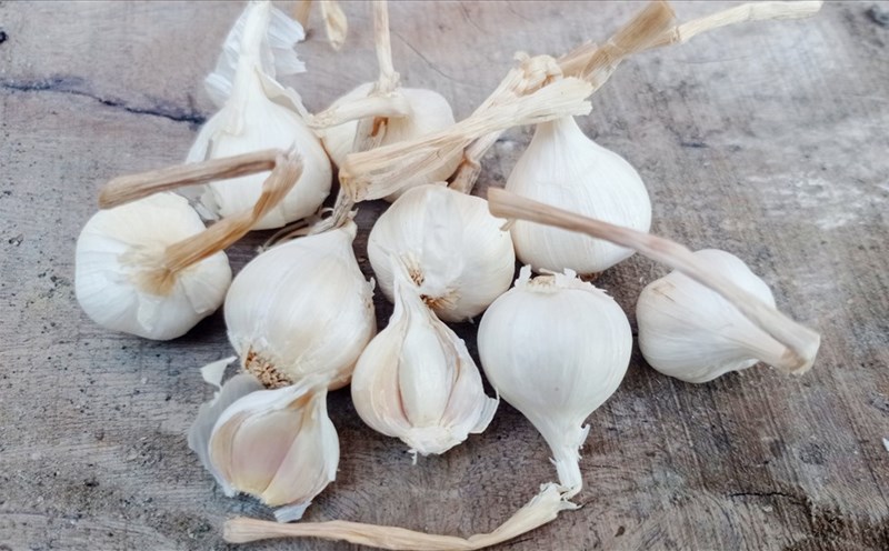 Adding garlic to your diet has many health benefits. Photo: Thanh Thanh
