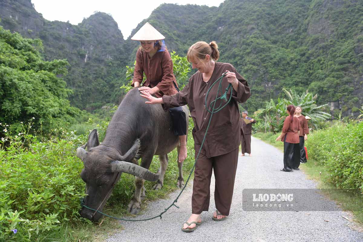 Khach quoc te trai nghiem mot ngay lam nong dan o Ninh Binh. Anh: Ha Vi