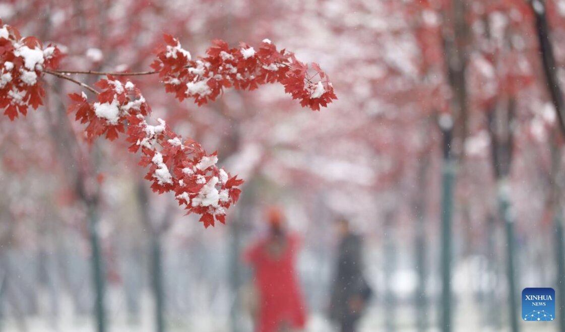中国からの寒気が来週南部に押し寄せる予報。写真:Xinhua