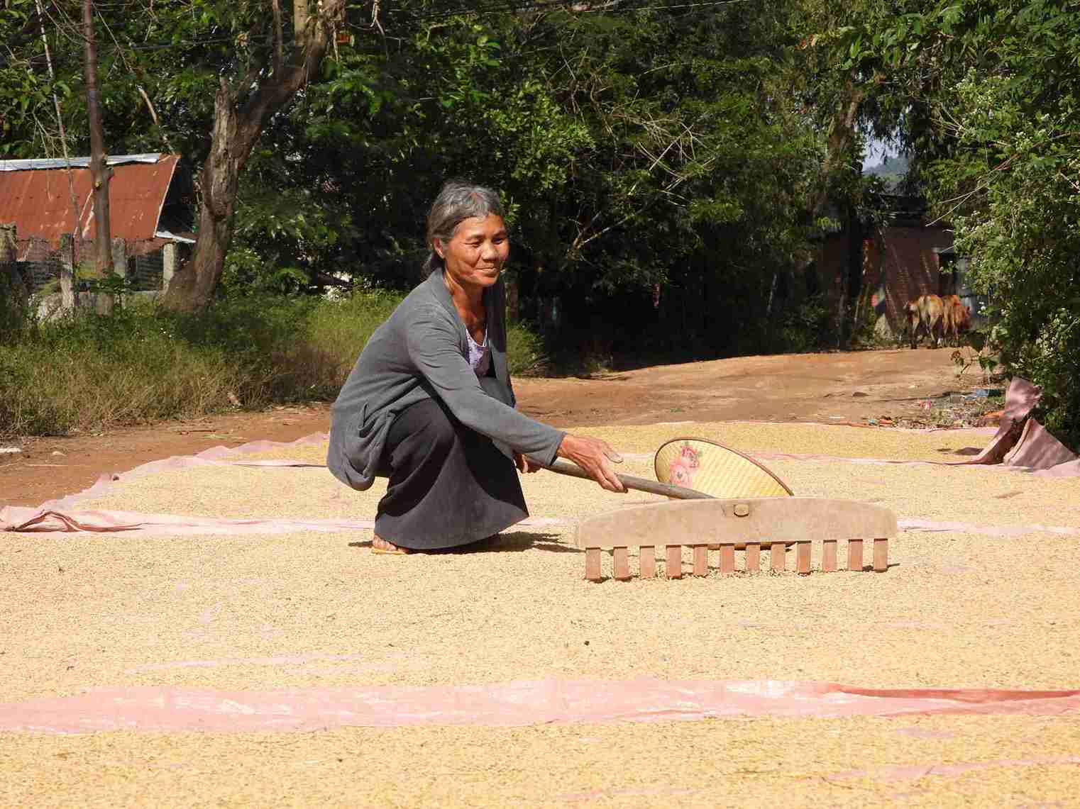 Nguoi dan thon, buon dac biet kho khan o xa Lien Son Lak cham chi lao dong san xuat. Anh: Bao Lam