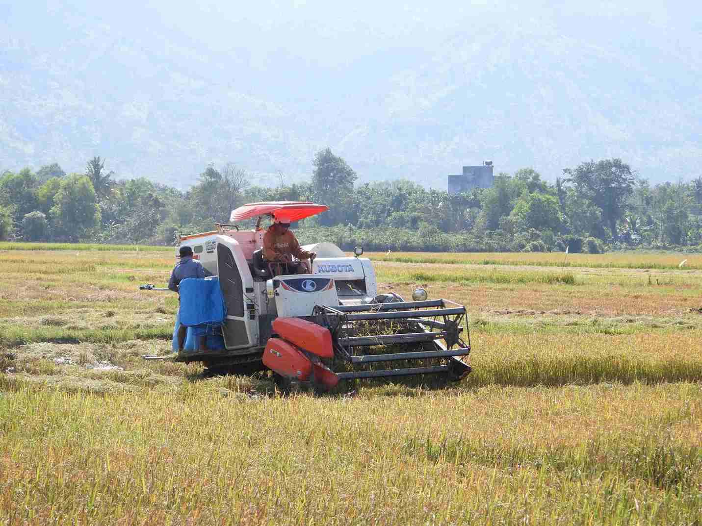 Ba con trong buon co y chi, tinh than lao dong san xuat rat tot.