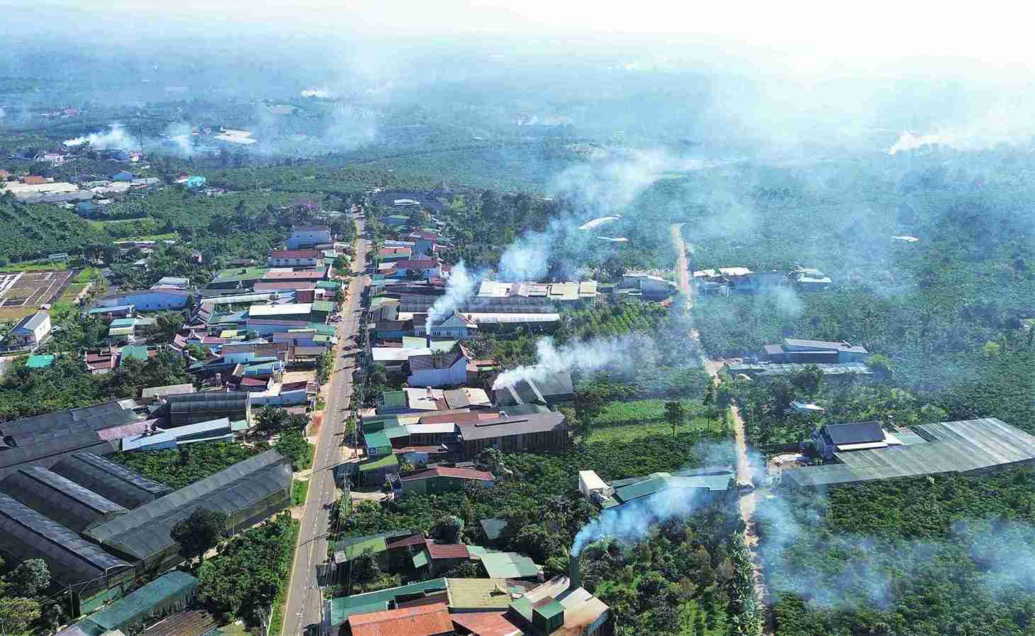 Hang chuc lo say ca phe tren dia ban Phuong 1 Bao Loc nha khoi bao trum ca mot khu vuc dan cu rong lon. Anh: Phuc Khanh