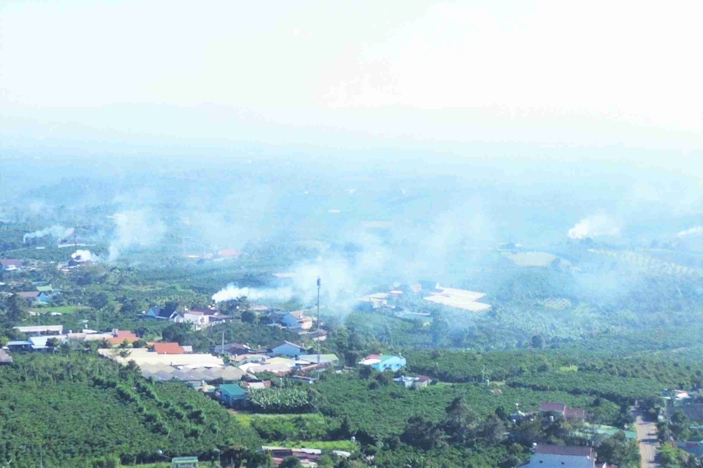 Khoi tu cac lo say ca phe bao phu khu dan cu tai to dan pho Tan Huong 1 (Phuong 1 Bao Loc). Anh: Phuc Khanh