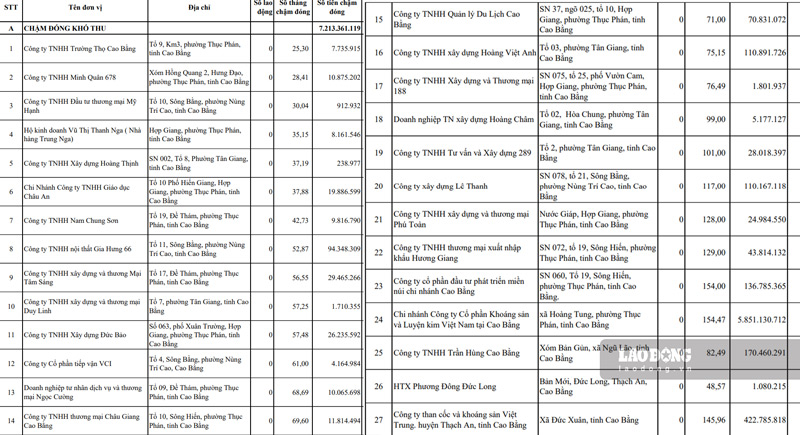 27 doanh nghiep cham dong, tray y nghia vu Bao hiem xa hoi. Anh: Tan Van
