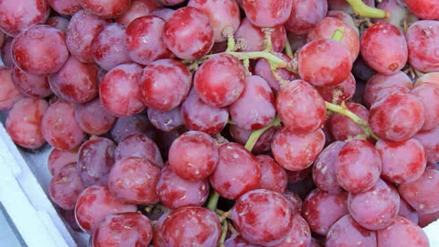 Red grapes are a healthy food thanks to their high vitamin C and minerals, which are good for kidney function. Photo: Huong Son