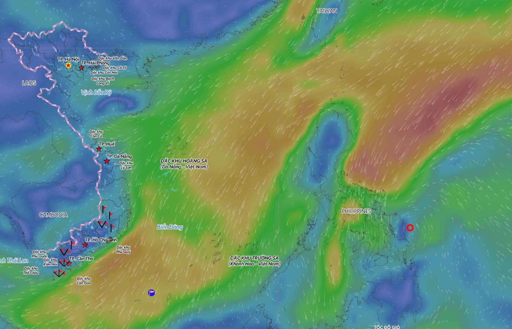 Updated location of the tropical depression at 4:00 p.m. on December 6. Source: Vietnam Disaster Monitoring System