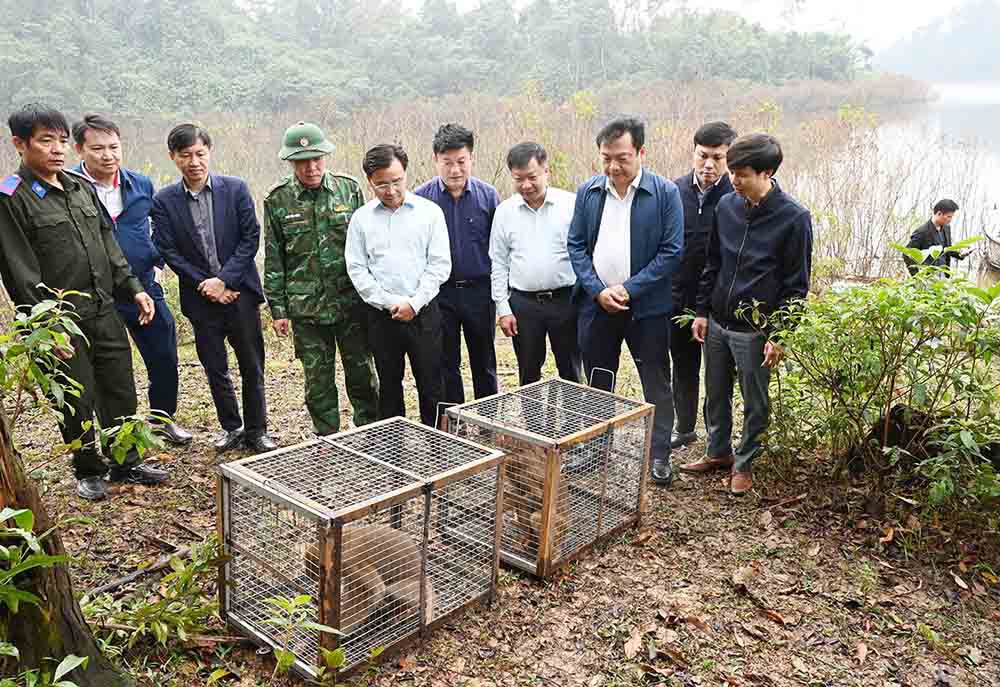 Proceeding to release wild animals to Vu Quang National Park. Photo: Quang Tuan.