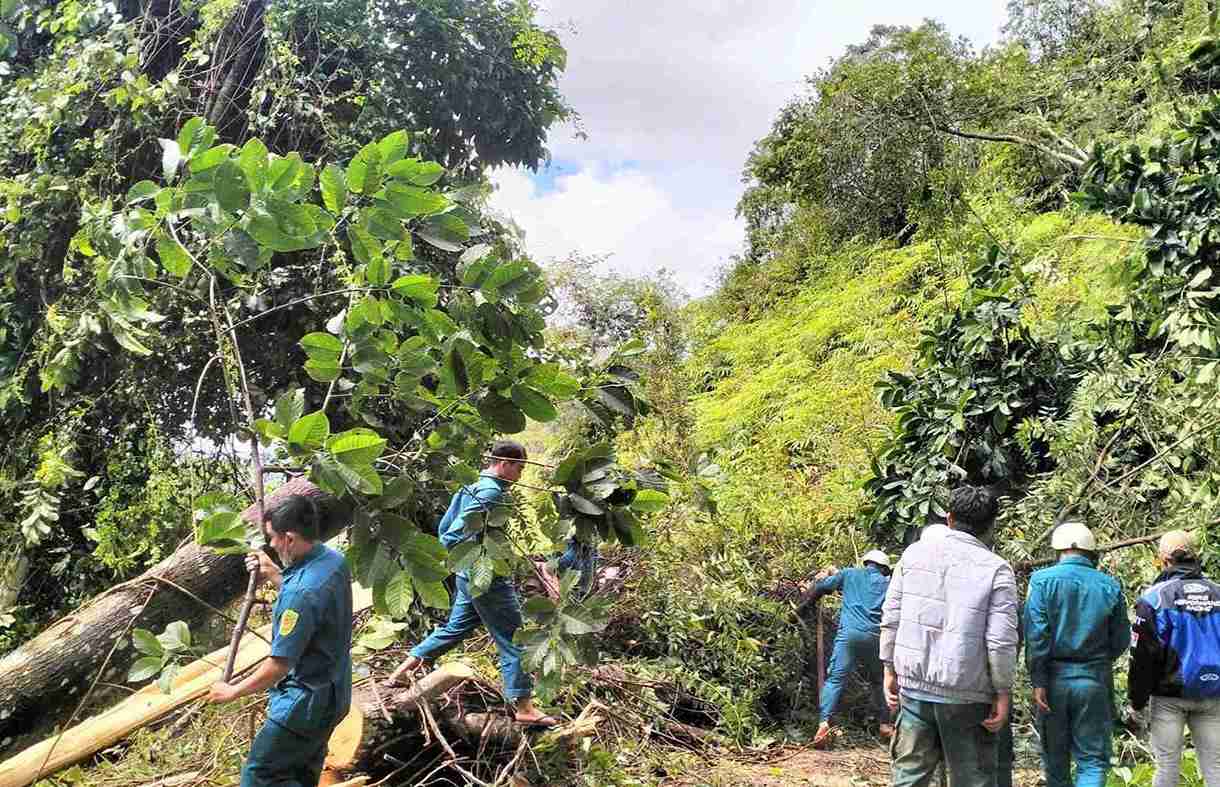 Luc luong dan quan xa Son Dien tich cuc tham gia giai phong cac diem cay rung nga do tren deo Gia Bac. Anh: Phuc Khanh