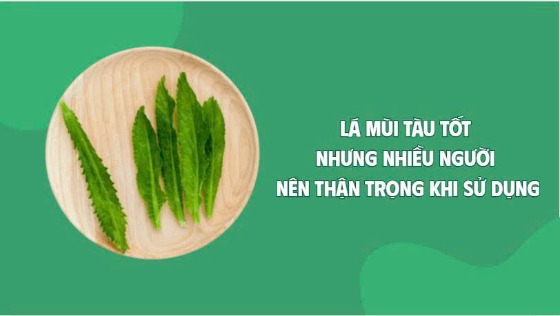 Scented leaves are good but many people should be cautious when using them