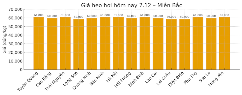 Gia heo hoi mien Bac hom nay 7.12. Do hoa: Thuy Linh. 
