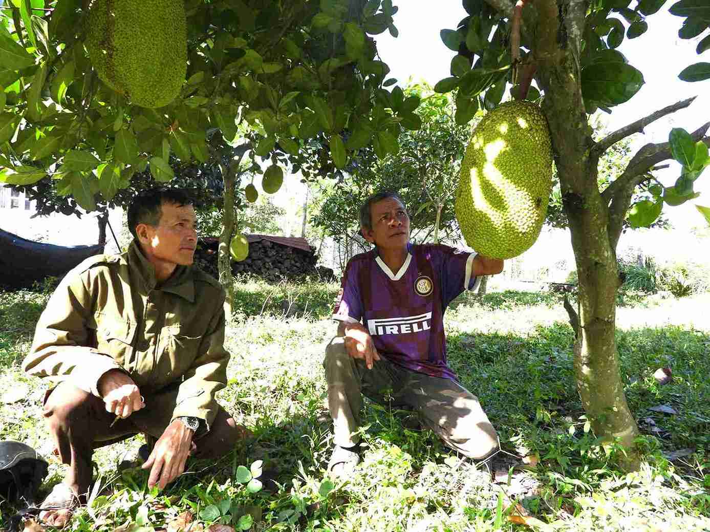After being encouraged, propagated, disseminated laws and spread policies and guidelines by prestigious people, people in disadvantaged areas of Lien Son Lak commune have made efforts to work and produce, and improve their lives. Photo: Bao Lam