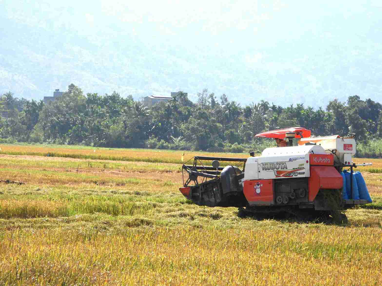 Nguoi dan o xa Lien Son Lak khong ngung hoc tap, phat trien san xuat, nang cao doi song. Anh: Bao Lam