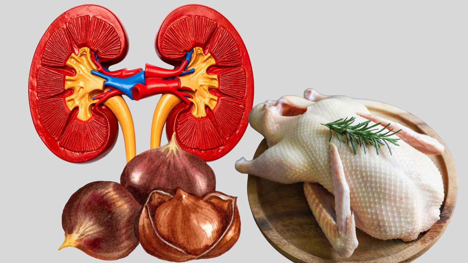Eating duck meat in moderation helps increase kidney function. Graphics: Ha May