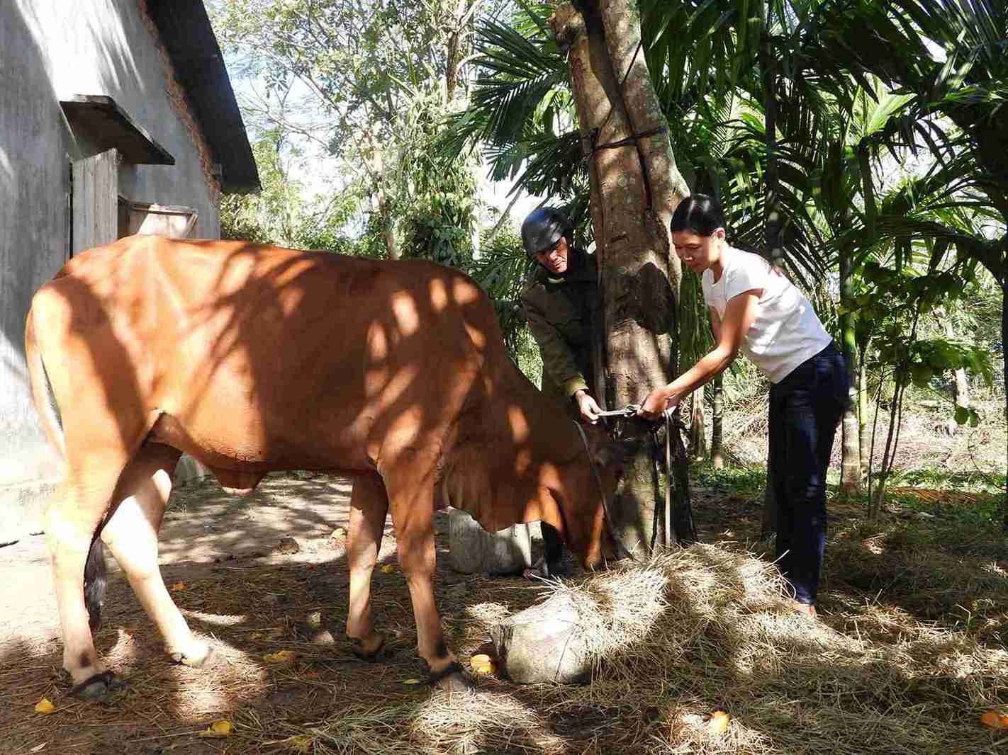 Nguoi uy tin nhan to giup dia phuong tung buoc vuot qua thach thuc, huong den phat trien ben vung. Anh: Bao Lam
