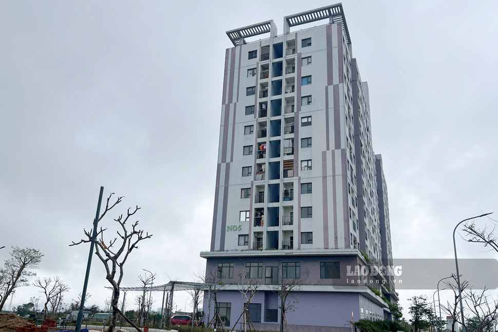 Chung cư NƠXH Ecohome Nhơn Bình. Ảnh: Hoài Phương