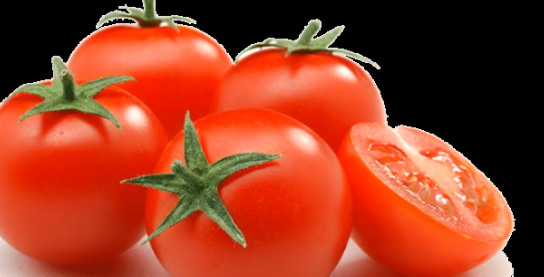 Tomatoes are a food rich in antioxidants that are suitable for days of air pollution. Photo: Bich Nhung