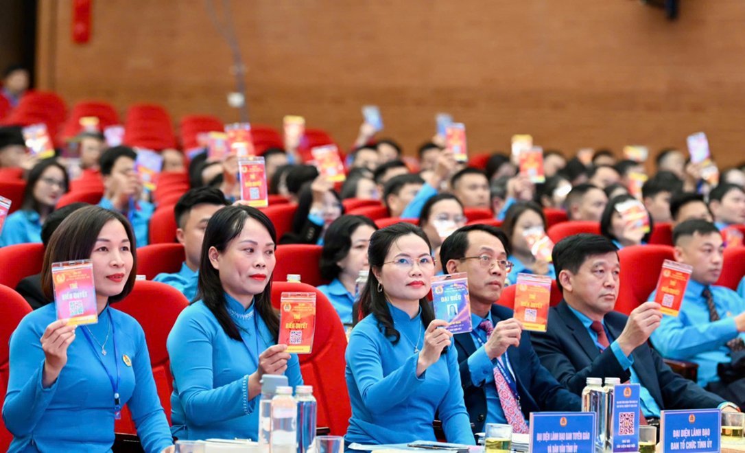 Cac dai bieu da cung thao luan va bieu quyet thong qua nhieu van de lien quan den cong tac to chuc Dai hoi, trong do co viec bau Doan Chu tich, Thu ky va Ban Tham tra tu cach dai bieu.