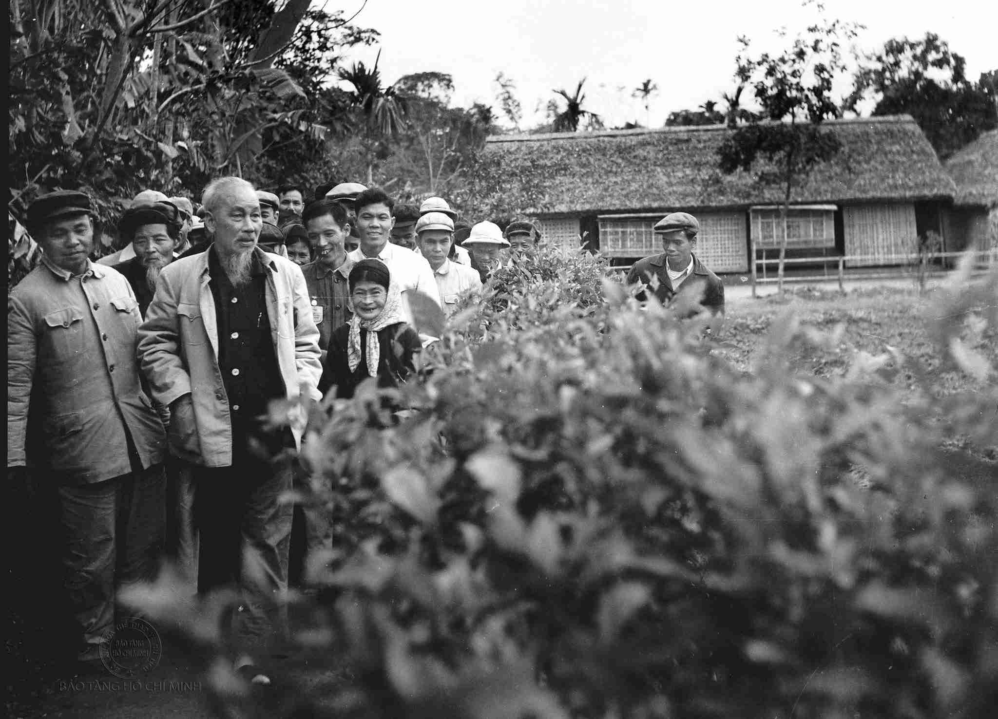 Chủ tịch Hồ Chí Minh về thăm quê hương Kim Liên (Nghệ An). Ảnh: Bảo tàng Hồ Chí Minh